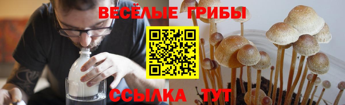 Марихуана Ростов Великий