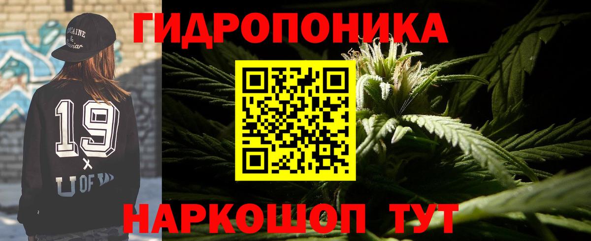 Конопля VHQ  Вход с VPN  Конопля White Widow  Шишки марихуана план  Ростов Великий 